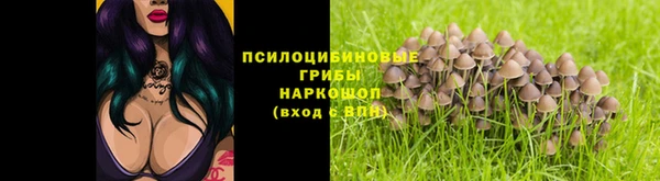 COCAINE Гусь-Хрустальный
