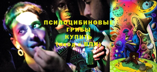 прущая мука Гусиноозёрск