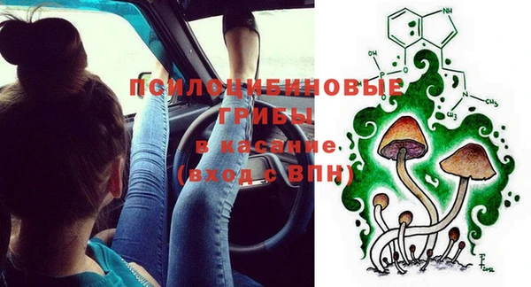 первитин Гусев