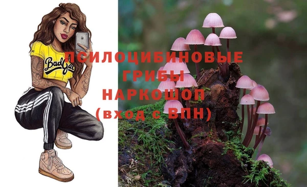 первитин Гусев